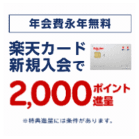 楽天カード（最短10日付与）